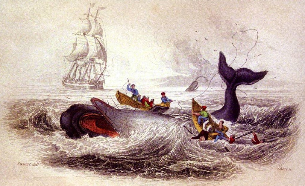 “The Spermacetti Whale” by J. Stewart, 1837. New Bedford Whaling Museum.