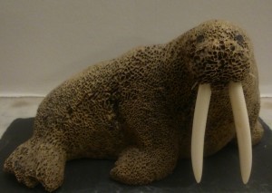  Walrus carved from whalebone by Kotzebue artist: Adolph Shagowak. c. ajh