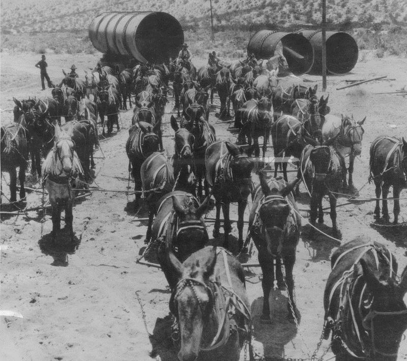 52 Mule Team helping build the Los Angeles aqueduct, 1912. Source: Waterandpower.org