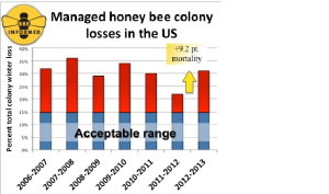 Honey Bee Colony losses in the US 2006-2013. Source: www.beeinformed.org