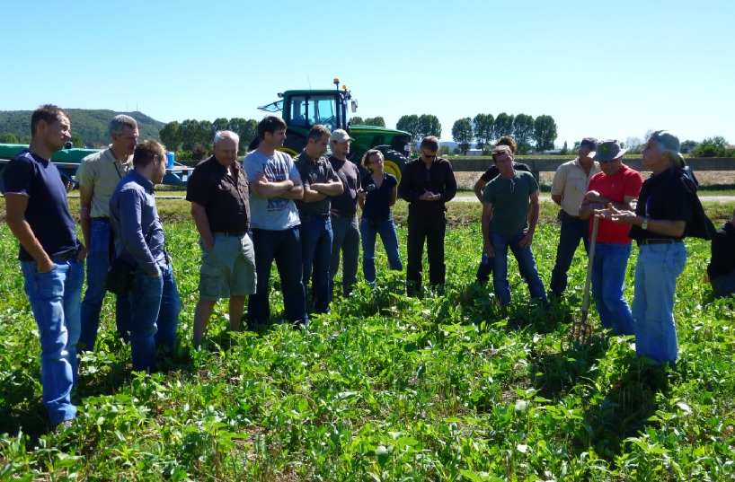 Meeting between French producers in soil with cover crops. Source fert.fr
