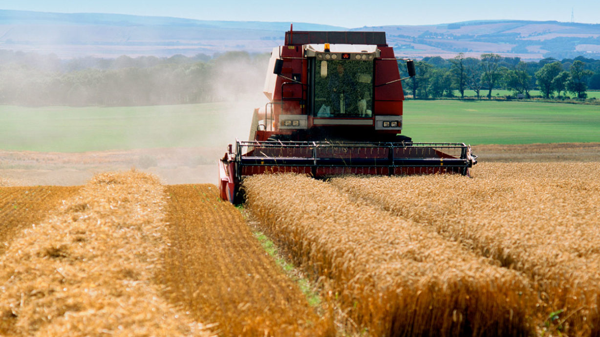 Nouveaux chiffres valeur de la terre agricole en France – Paysages en